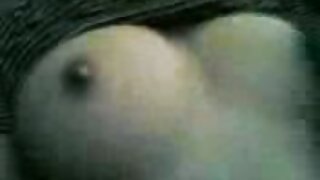 Bazige teef Ariella  ...